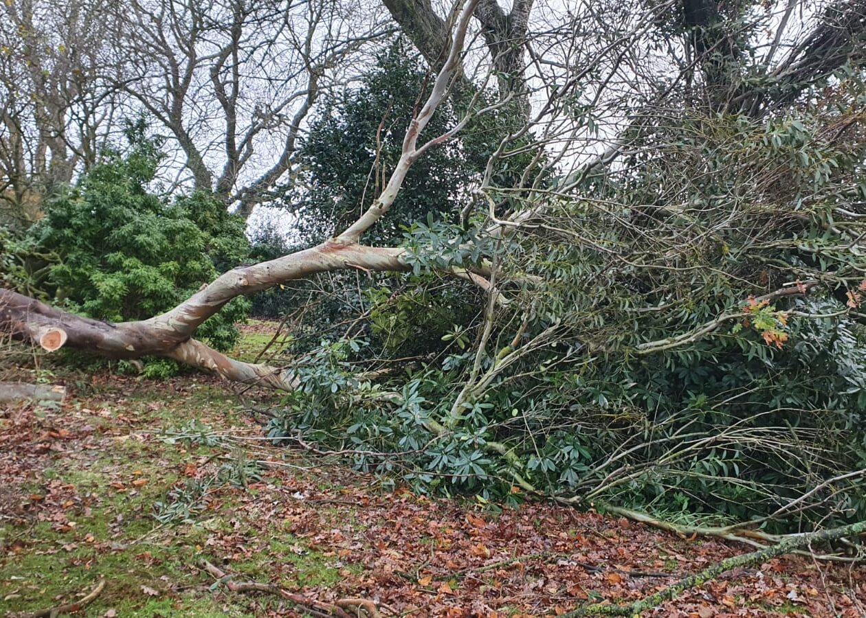 storm damage sandbach