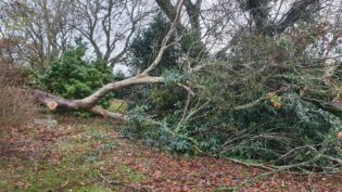 storm damage sandbach