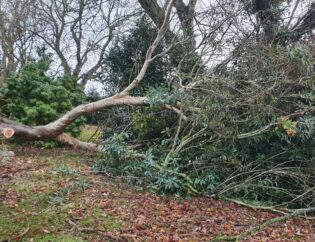 storm damage sandbach