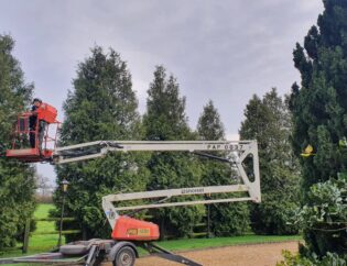 hedge pruning near me