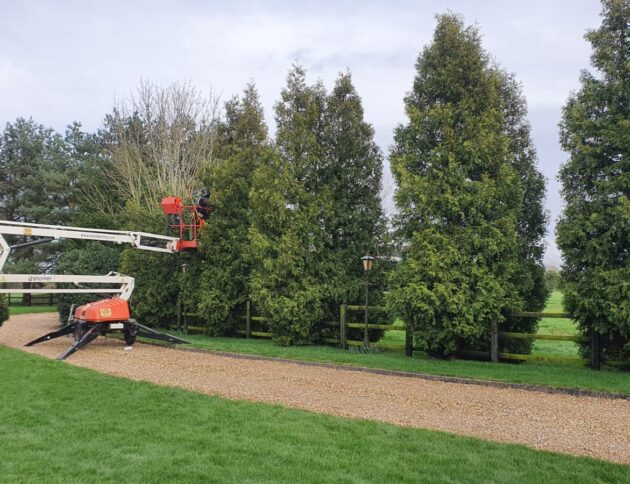 sandbach hedge trimming