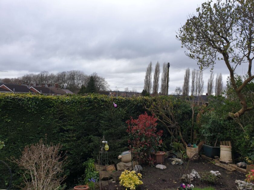 nantwich hedge cutting