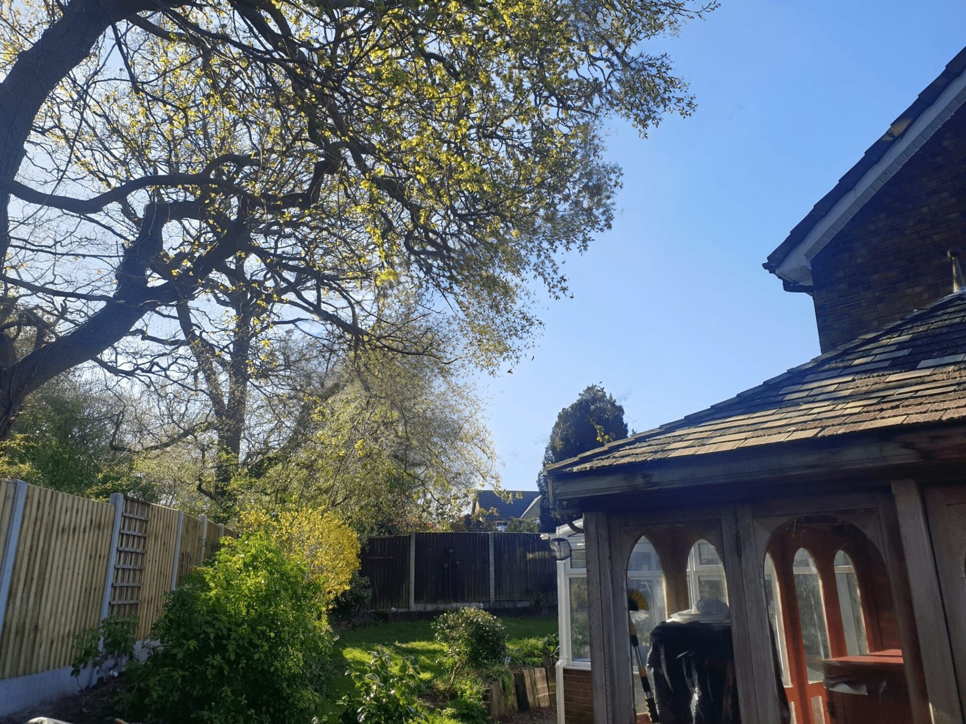 Pruning Pruning