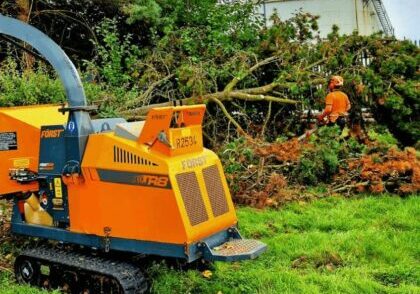tree surgeon nantwich 