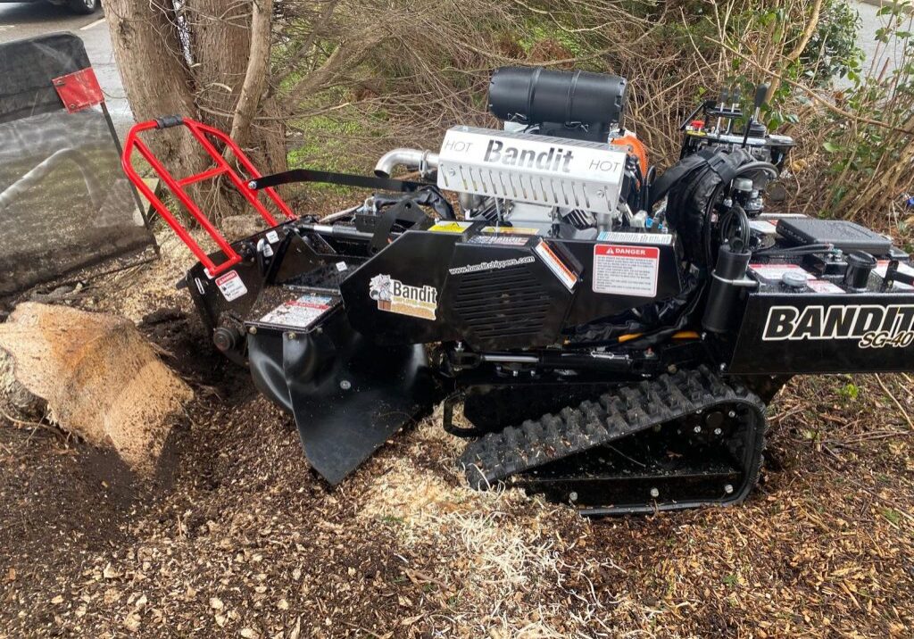 stump-grinding-1024x768 stump-grinding-1024x768